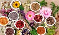 Iran urges expansion of organic medicinal plant production