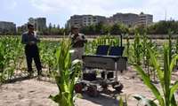 Tabriz University develops smart robots to slash agricultural pesticide use