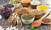 Iran cereal production to reach 18.8m tons in 2023, FAO says
