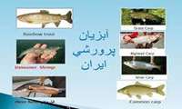 Iran sets sight on desert aquaculture in northeast