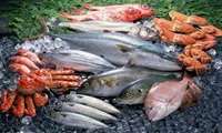 Iran exports over 68,000 tons of aquatics in 4 months