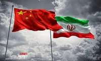 China major buyer of Iranian shrimp: Official