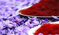 Iran exports over 12 tons of saffron to 29 countries in 1 month: Data