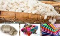 Iran raw silk cocoon output registers rise this year