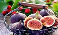 FAO to award GIAHS certificate to Estahban rainfed fig orchards soon