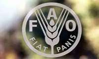 FAO launches e-Learning course to transform dryland management