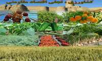 Iran exports over 3m tons of agricultural products in 5 months