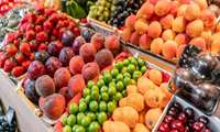 Exports of agricultural food witness rise in 9 months