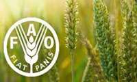Iran and FAO to jointly work on development of model farms NFS