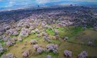 FAO to award GIAHS certificate to Traditional Garden of Qazvin