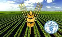 Iran and FAO launch project to boost sustainable dryland farming