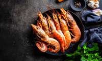 Bushehr, Iran shrimp production hub
