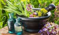 Iran exports over 850 tons of medicinal plants