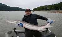 Production of more than 1.2 million tons of aquatic in Iran in 2021/ Production of 2200 tons of sturgeon meat in Mazandaran