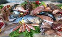 Iran balance of foreign trade of aquatics soars