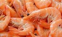 Annual shrimp output in Iran planned to reach 86,000 tons this year
