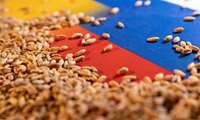 Iran grain production soars: UDA