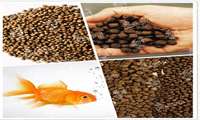 Iran annual export of fish feed to neighbors exceeds 10K tons, official says