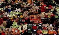 Iran launches refrigerated container ship to export horticultural products, citrus fruits