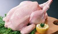 Surplus chicken output to be exported