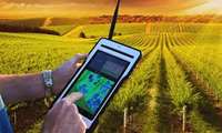 The need to develop the use of digital technology in agricultural insurance