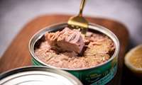 Iran exports over 2,400 tons of tuna fish in 8 months