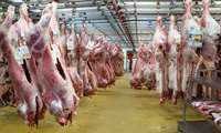 Iran red meat imports surge, poultry tumbles in 10-month tally
