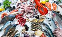 Iran yoy export of fishery products sees 35 percent rise in 9 months