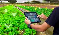 Iran seeking to attract private investment in modern irrigation systems