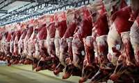Sistan and Baluchestan: Iran red meat production hub