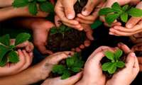 Iran aims to plant one billion trees to combat climate change, global warming