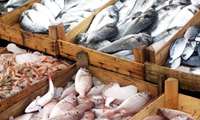 Iran targets maximizing fishery production in 10 years