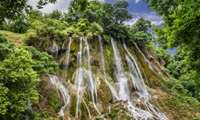 Northern, Zagros forests save billions cubic meters of water annually