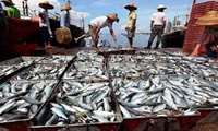 Fishery exports increase 6 percent in 8 months on year