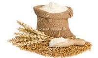 Contract cultivation of 2 million hectares of wheat in 2022 in Iran