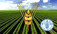 FAO awards GIAHS certificates to two Iranian sites