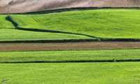 FAO provides an innovative approach for detailed crop mapping of Urmia Lake basin