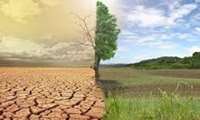 FAO outlines initiatives to tackle desertification and drought in Iran