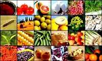 Agricultural and food exports in 2021