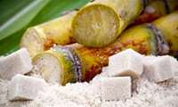 Iran expected to produce 700,000 tons of sugar from sugarcane this year