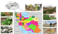 More than 8,500 plant species identified in Iran