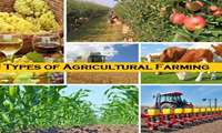 Acting minister stresses significance of introducing modern farming methods