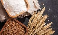 Iran forecasts over 8m tons of wheat purchases from domestic farmers