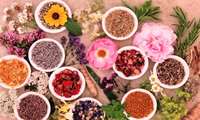 Operation of a refinery for the production of standard materials for medicinal plants