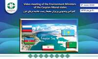 Holding a video conference of the Ministers of Environment of the Caspian littoral states