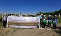 Crop mapping in Qazvin Irrigation Network in Iran
