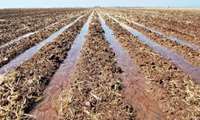 Improving the Organic matter of Agricultural Soils in IRAN