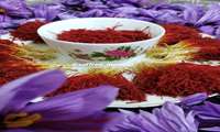 Iran anticipates saffron exports will soar in 2024