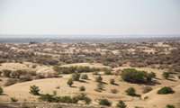 Iran developing novel mulching methods to combat desertification