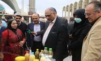 5th Exhibition of Villagers, Nomads  Capabilities opens in Tehran